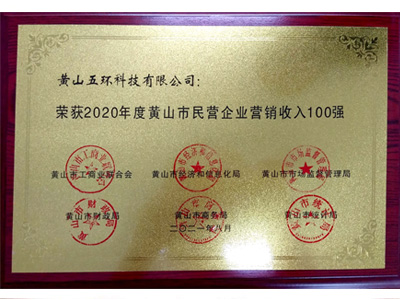 民營(yíng)企業(yè)營(yíng)銷收入100強(qiáng)