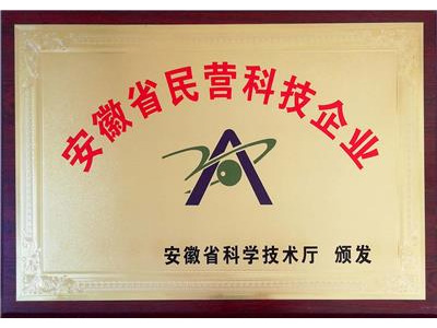 民營(yíng)科技企業(yè)